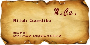 Mileh Csendike névjegykártya